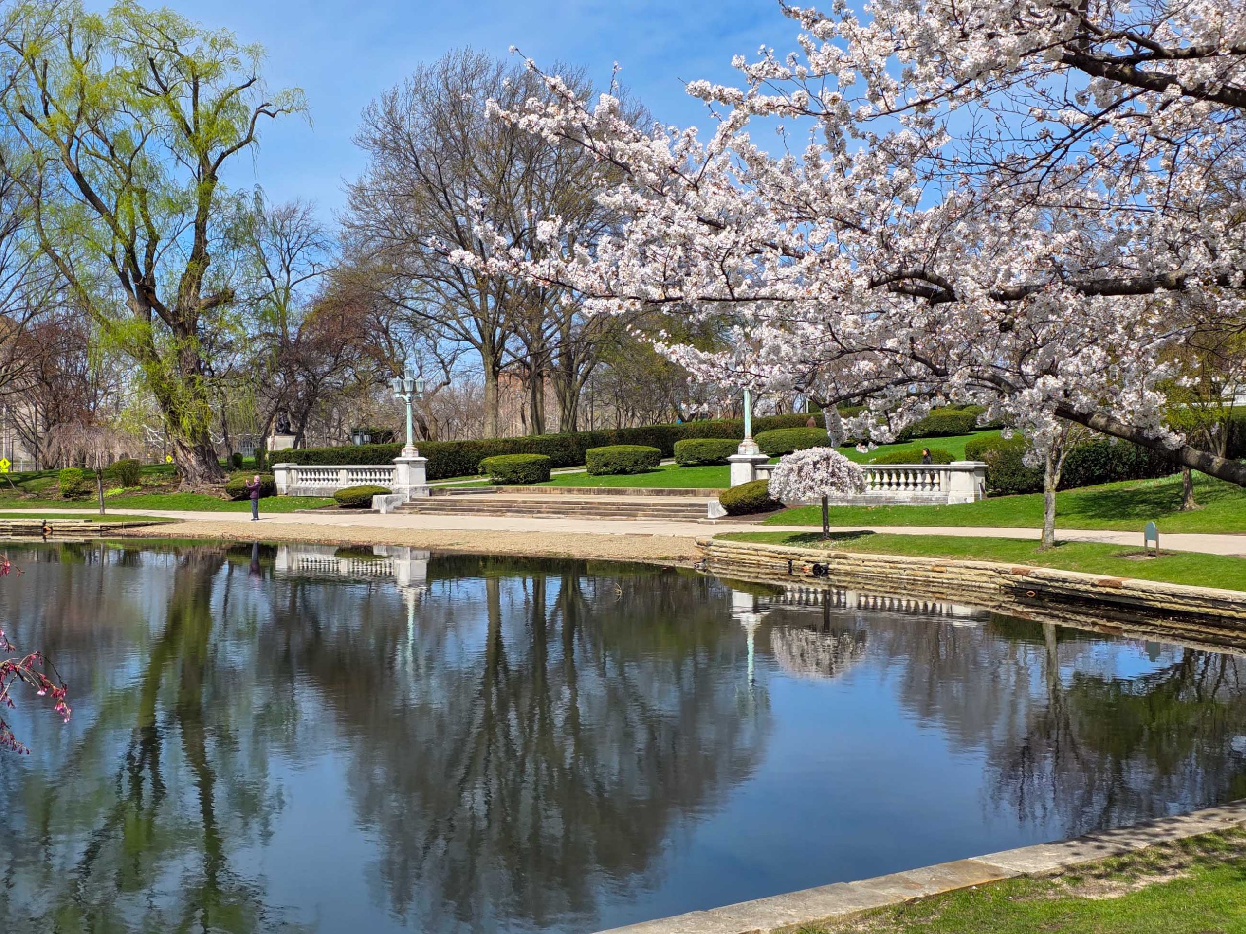 Lake Erie Cherry Blossom Viewing Guide - Tour the Great Lakes & Beyond
