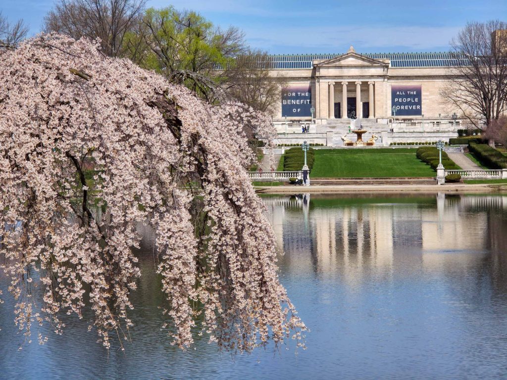 the cleveland museum of art with spring cherry blossoms in the foreground
