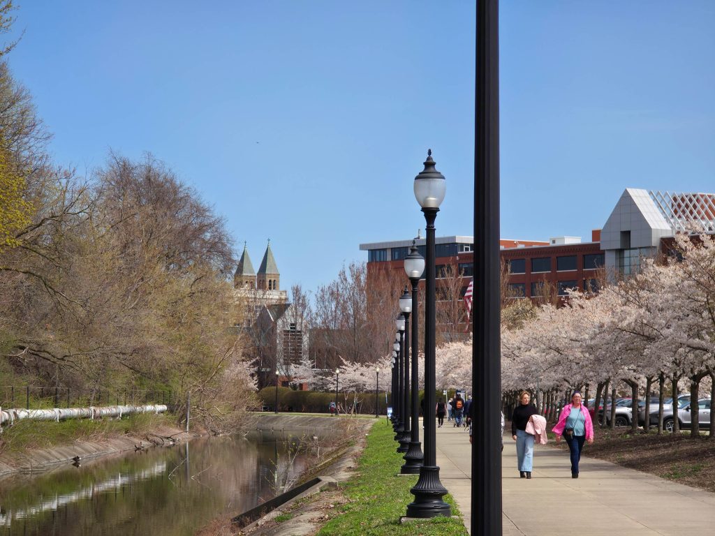 Lake Erie sakura watching at Lock 3 in Akron Ohio
