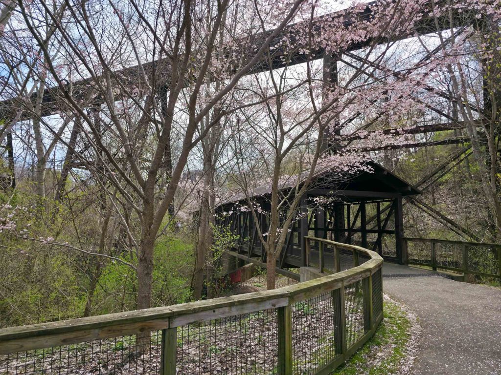 Lock 15 in Akron offers some diverse landscape when lake erie cherry blossom viewing