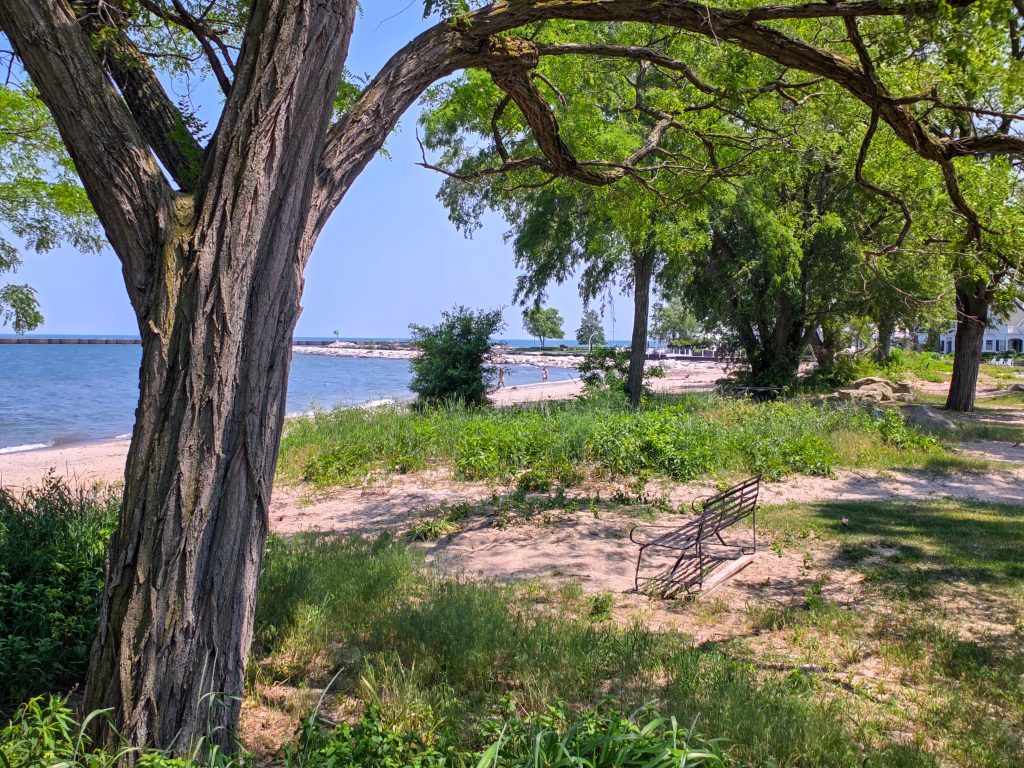 A vermilion beach photo