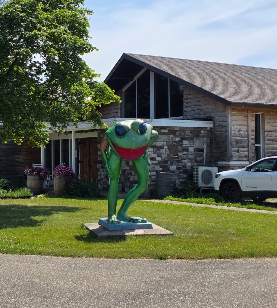 Frog statue in front of KingView Meadhouse & Winery, part of Erie’s Leapfrog public art project.