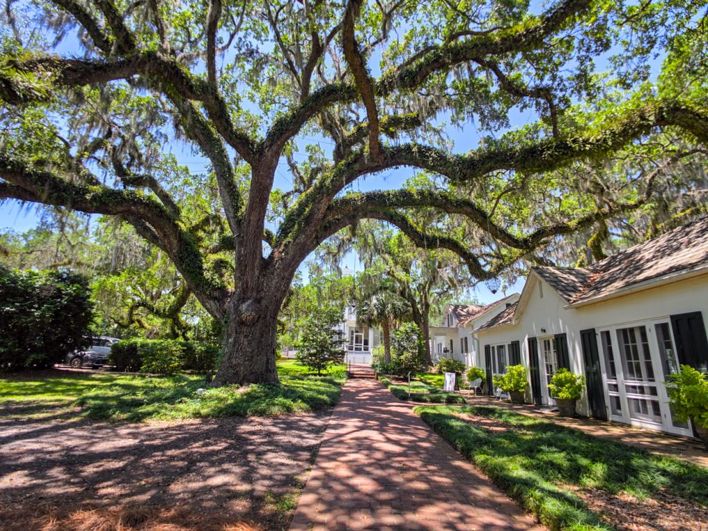 Goodwood estate with mansion and nearby outbuildings